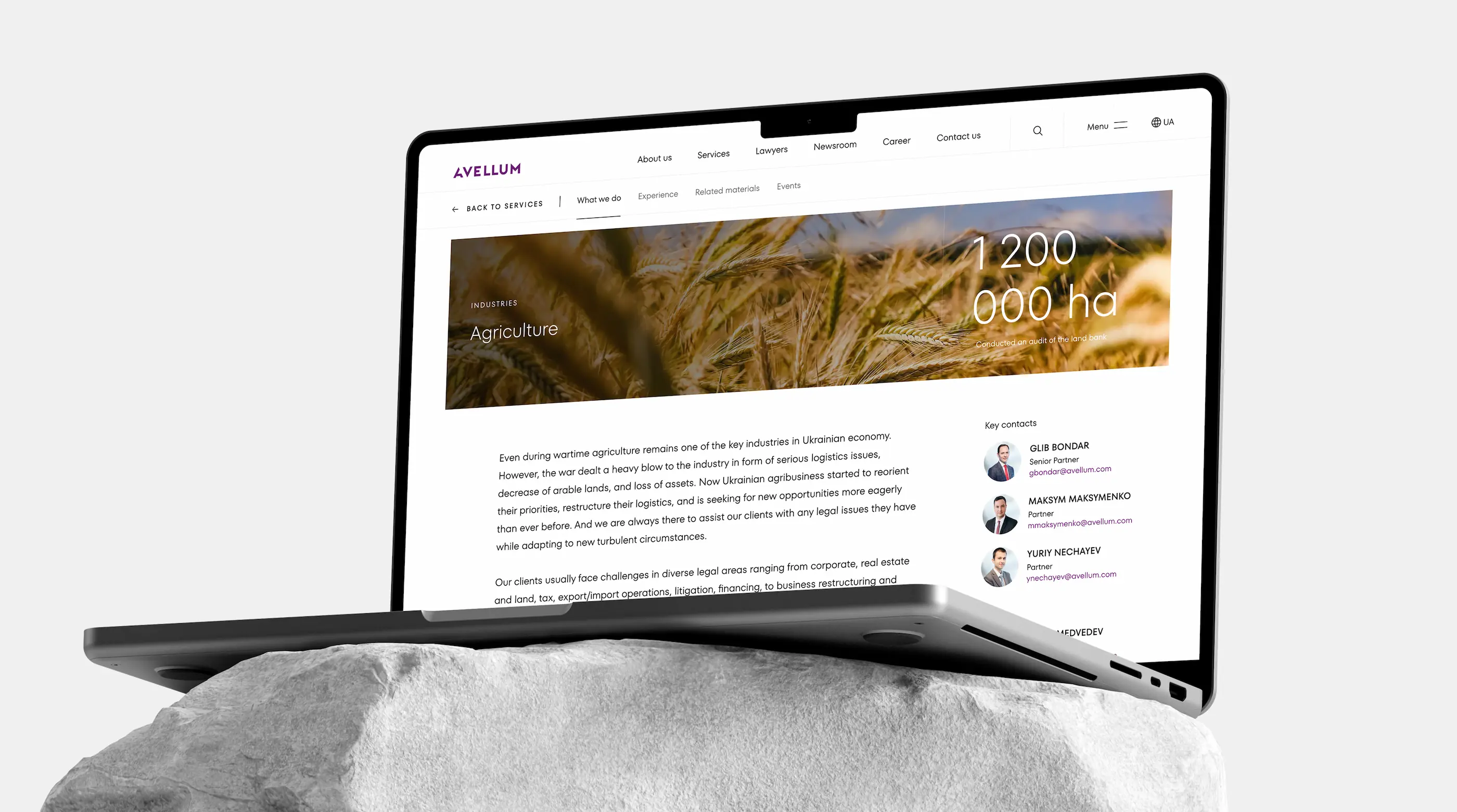 Smotrow Design has created a minimal interface for the new AVELLUM website